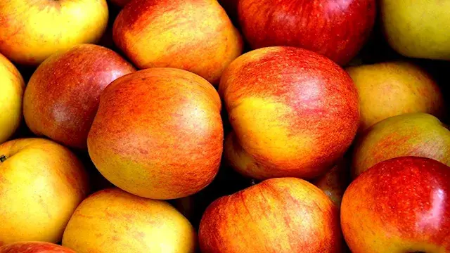 5 أطعمة ومشروبات تدعم صحة الرئتين وتعزز كفاءة الجهاز التنفسي