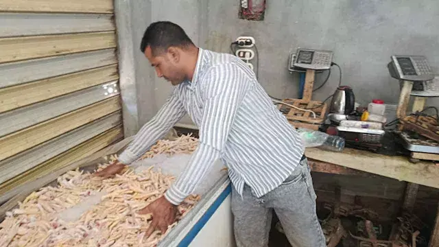قبل وصولها للأسواق.. ضبط طن من أجزاء الدواجن مجهولة المصدر بالقليوبية