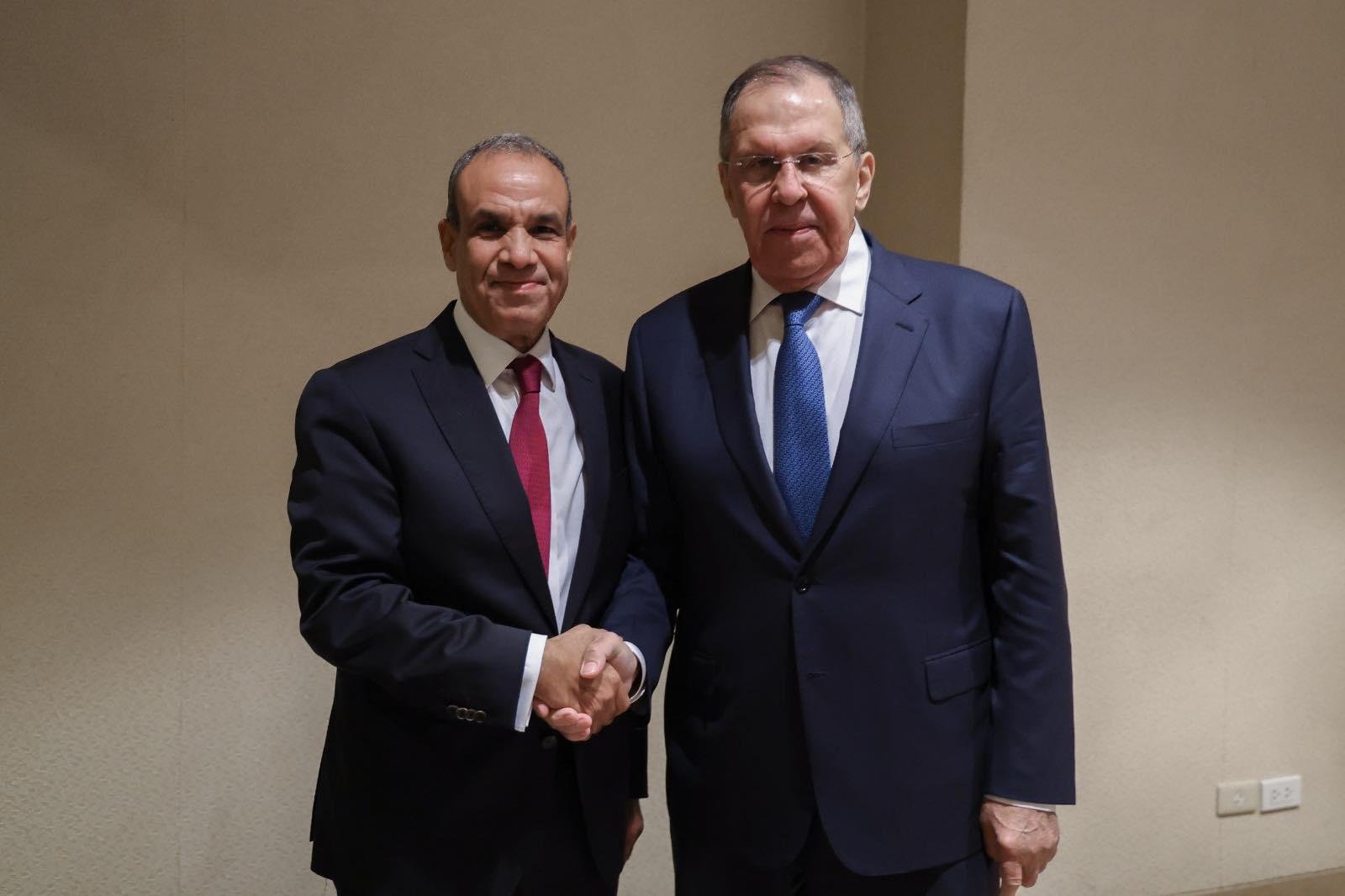 وزير الخارجية يبحث مع نظيره الروسي إنشاء مركز لوجيستي للحبوب والمواد البترولية في مصر