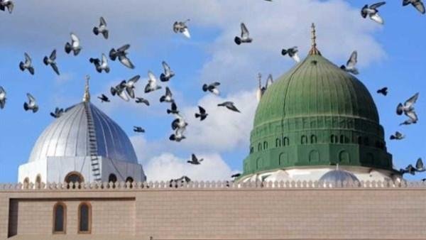ماذا حدث في المولد النبوي الشريف..  10 معجزات عجيبة حدثت يوم ميلاد الرسول