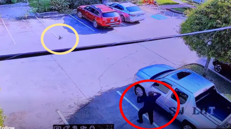 بالفيديو.. مواجهة طريفة بين شرطي أمريكي وطائر في تكساس!