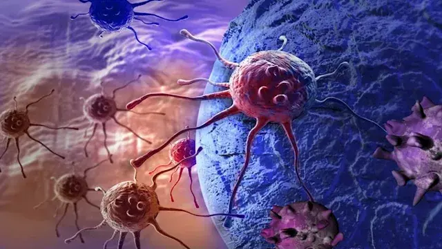 اكتشاف نوع رابع من السرطان ينتقل بالعدوى وينتشر دون فيروس
