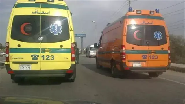 مصرع 4 أشخاص في حادث سير بكفر الشيخ