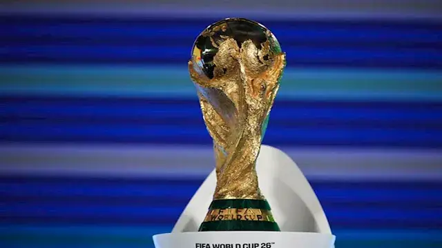 "كأس العالم في كيس بلاستيك".. كوكوريلا يلفت الأنظار ويثير تفاعل العالم (فيديو)
