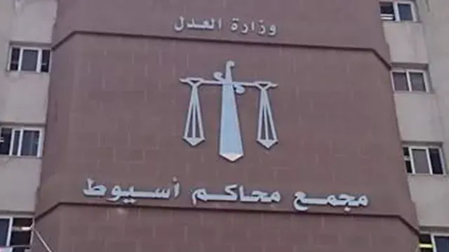ضُبط ببندقية آلية ومواد مخدرة.. السجن 10 سنوات لمدان في أسيوط