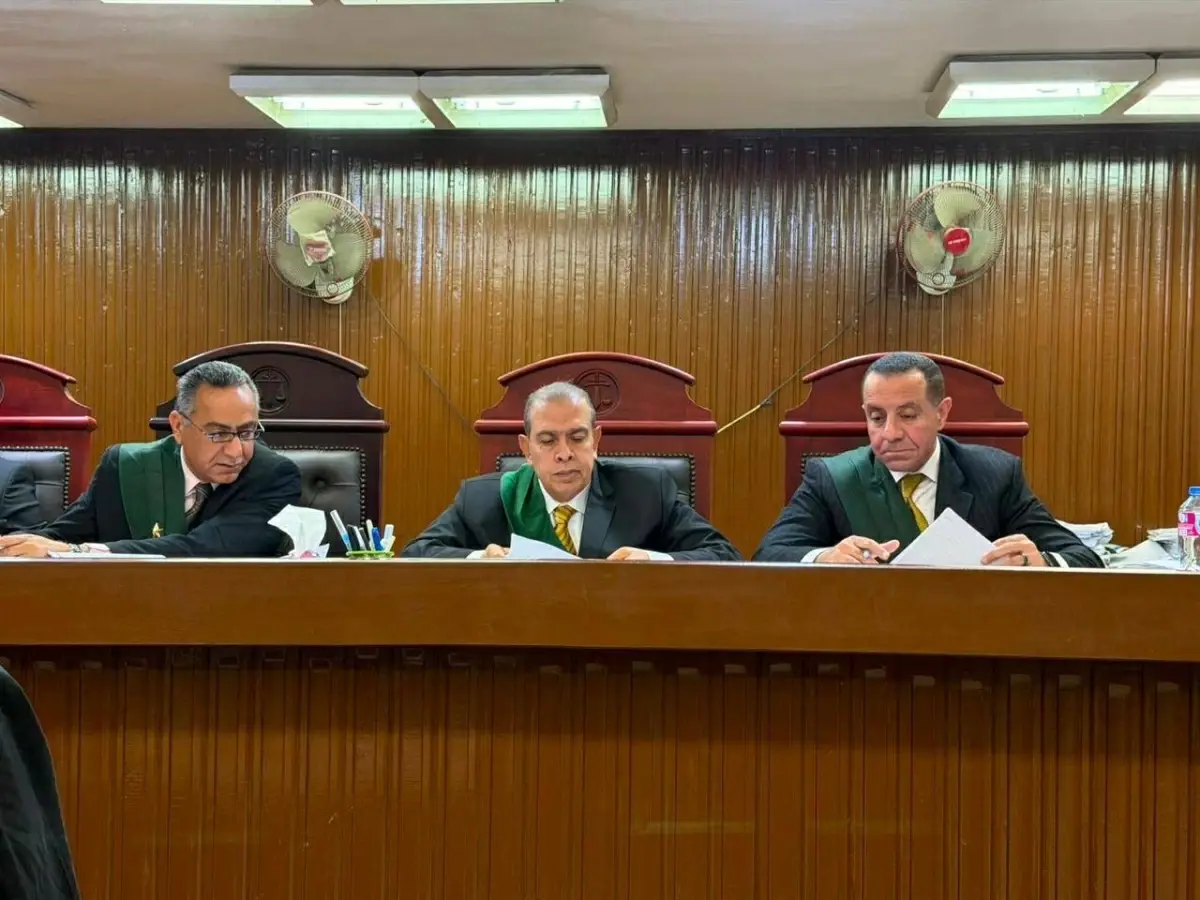 الحبس عامًا لسائق ميكروباص بتهمة هتك عرض «سيدة»