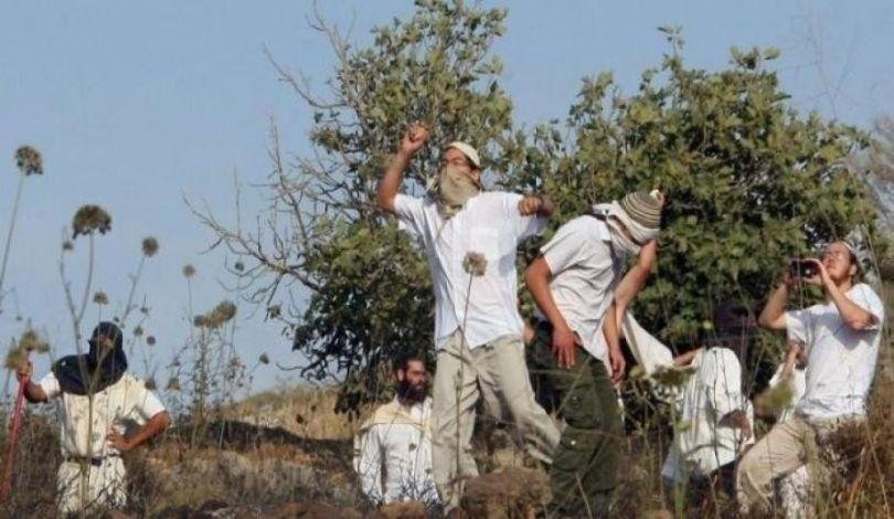 الضفة.. مستوطنون إسرائيليون يصيبون 3 فلسطينيين في بيت لحم