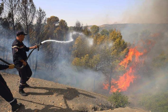 الجزائر تعلن إخماد جميع حرائق الغابات وتبقي فرقها في حالة تأهب