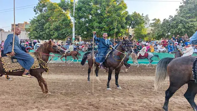 ليه "المرماح" مش مجرد سباق خيل؟.. أسرار وطقوس الفروسية في صعيد مصر (فيديو وصور)