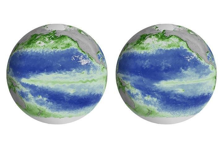 El Niño Alters Marine Life in the Pacific
