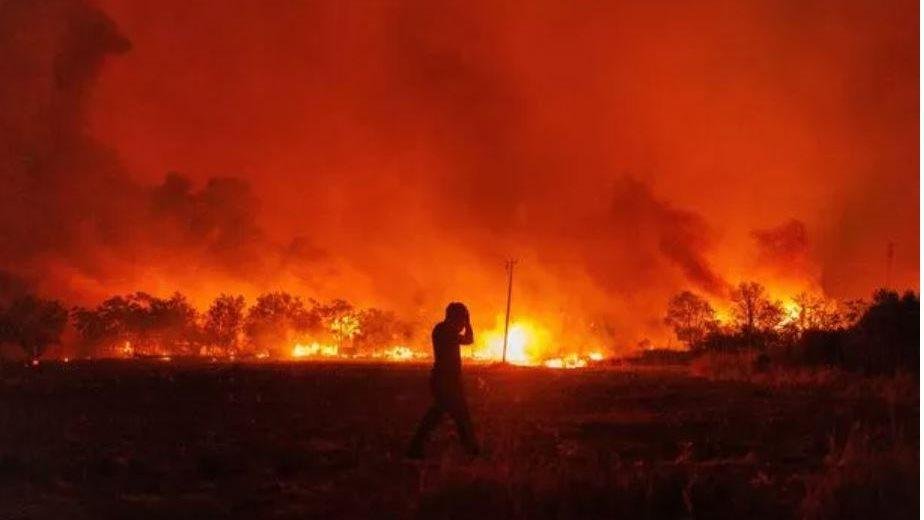 6 وفيات جراء حرائق غابات اجتاحت مناطق عدة في الجزائر