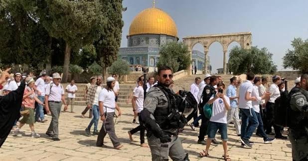 1478 مستوطنا يقتحمون الأقصى خلال أسبوع بحماية جيش الاحتلال