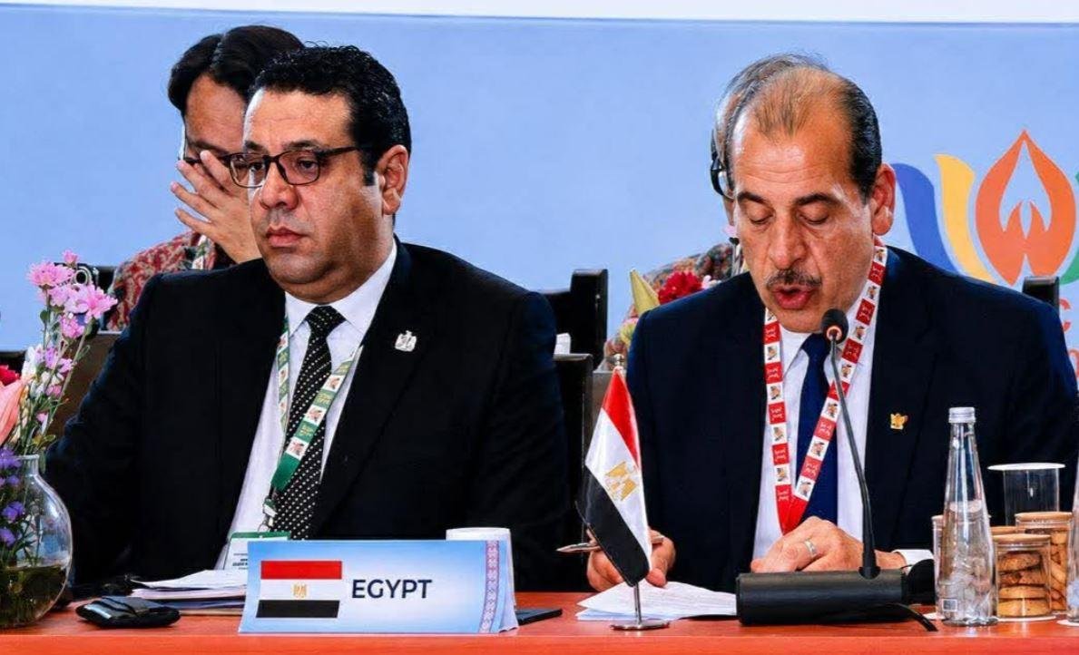 نائب وزير الصحة يستعرض تجربة مصر في تطوير المنظومة الصحية خلال اجتماع وزراء صحة دول بريكس بالهند