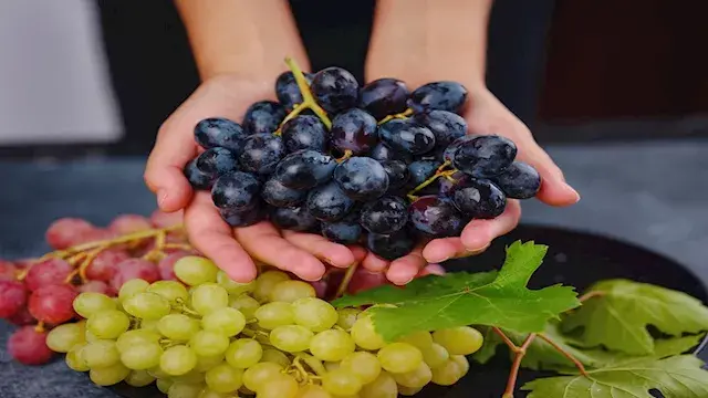 تعرف على فوائد تناول كوب من عصير العنب على صحة الجسم