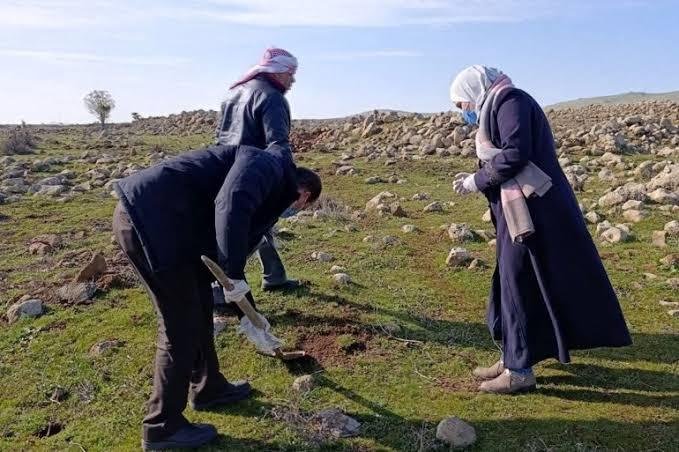 مبيدات إسرائيلية تفقد القنيطرة غطاءها الأخضر وتدفع السكان للنزوح