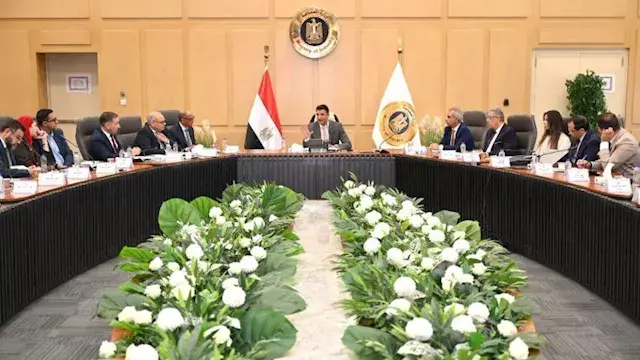 مصر تستهدف تصنيع هيكل السيارات بالكامل محليًا.. وخطة لزيادة المكون المحلي