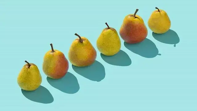 كيف تؤثر الكمثرى على عملية الهضم ؟