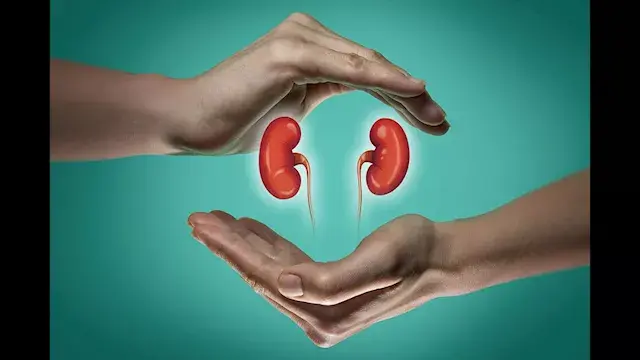 ماذا يحدث للكبد عند السهر يوميا؟