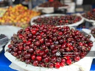 صادرات تركيا من الكرز تتجاوز 100 مليون دولار في 6 أشهر