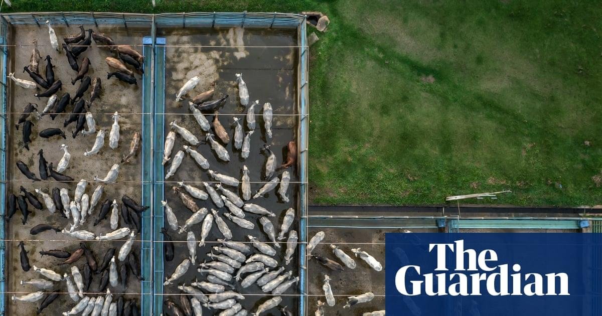 ​World’s largest meat company faces legal challenge over green credentials of $6bn global expansion