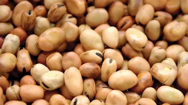 ارتفاع أسعار الفول والعدس واللحوم بالأسواق اليوم (موقع رسمي)