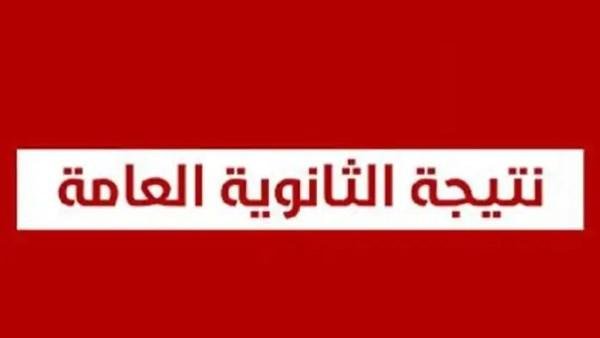 ظهرت الآن.. نتيجة الثانوية العامة 2026 على موقع صدى البلد