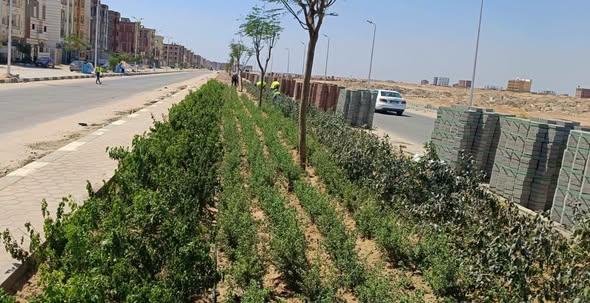 الإسكان: مستشفى استثماري في العاشر من رمضان على مساحة 4 آلاف متر مربع
