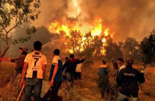 مصر تعزي الجزائر في ضحايا حرائق الغابات وتؤكد تضامنها الكامل