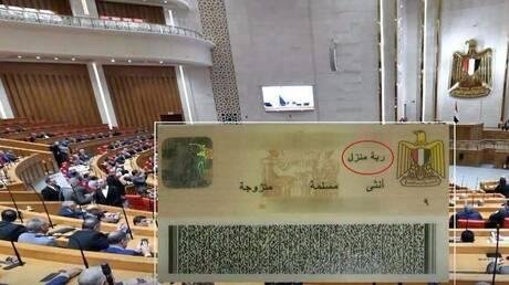 فكرة إماراتية تعود إلى الواجهة في مصر وتثير جدلا واسعا واتهامات سرقة
