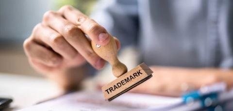الإحصاء: 81% من العلامات التجارية ممنوحة للمصريين عام 2025