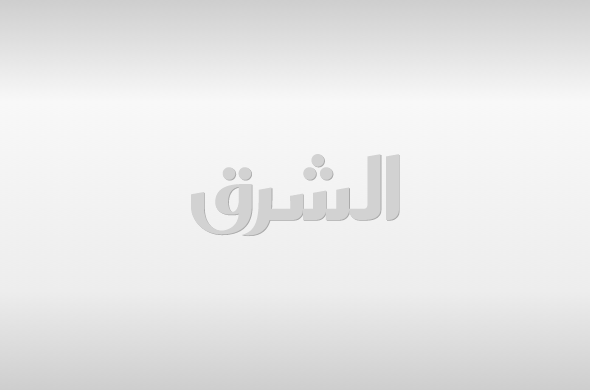 الوطني للتخطيط والنادي العلمي ينظمان المخيم الصيفي للبيانات