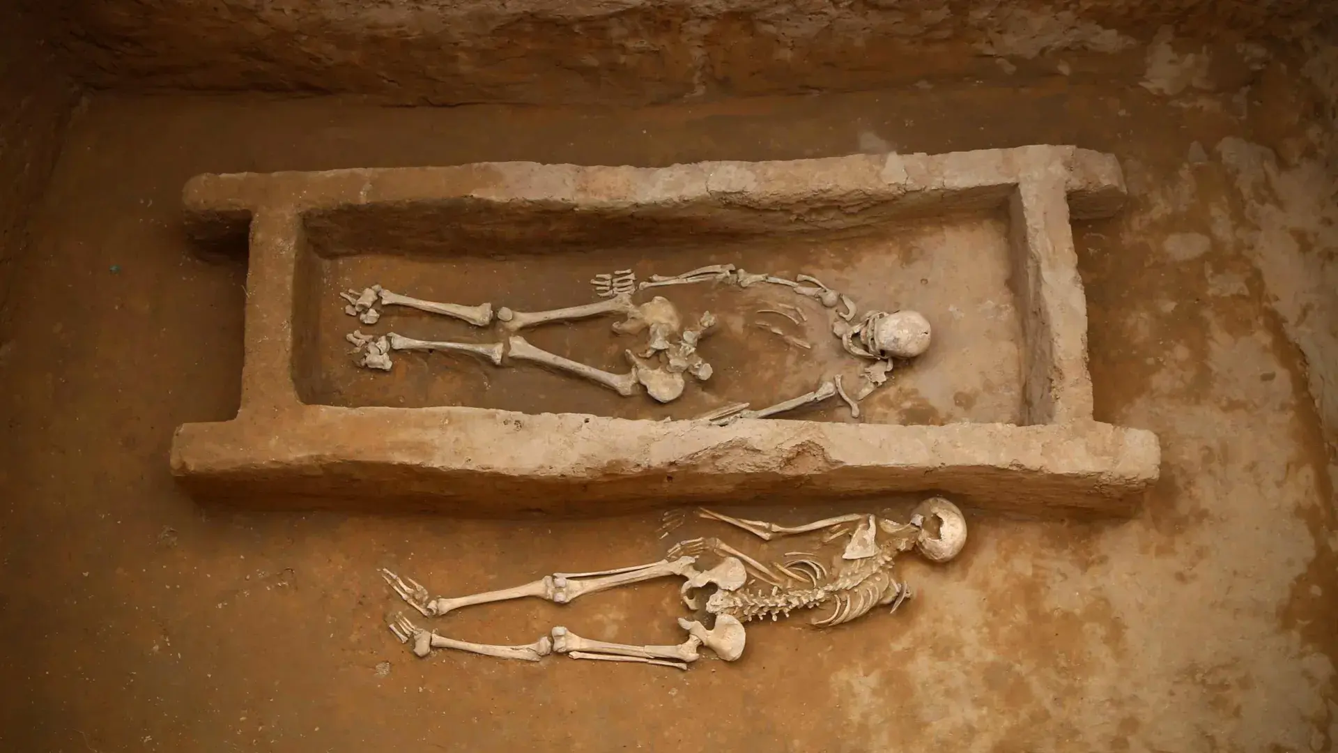 Ancient DNA reveals a chilling secret at China’s 4,000-year-old Shimao city
