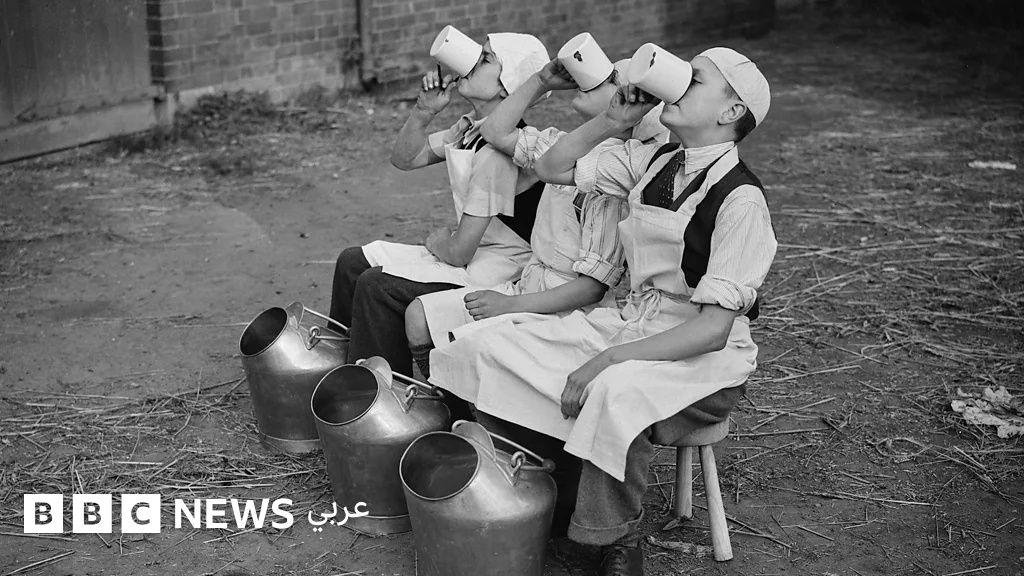 كيف تحافظ على عظام قوية؟ إليك أهم الأطعمة التي ينصح بها الخبراء