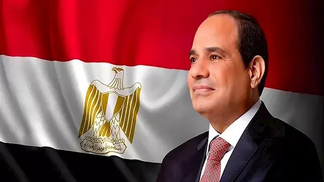 السيسي: مصر تواصل جهودها لتنفيذ وقف إطلاق النار وإدخال المساعدات إلى غزة