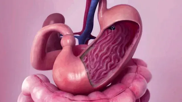 من الزبادي إلى العدس.. 5 أطعمة تعزز صحة المعدة والأمعاء