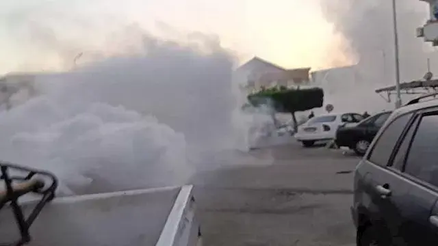 غزو الناموس يثير شكاوى أهالي بورسعيد.. والمحافظة تدفع بسيارات الرش - صور