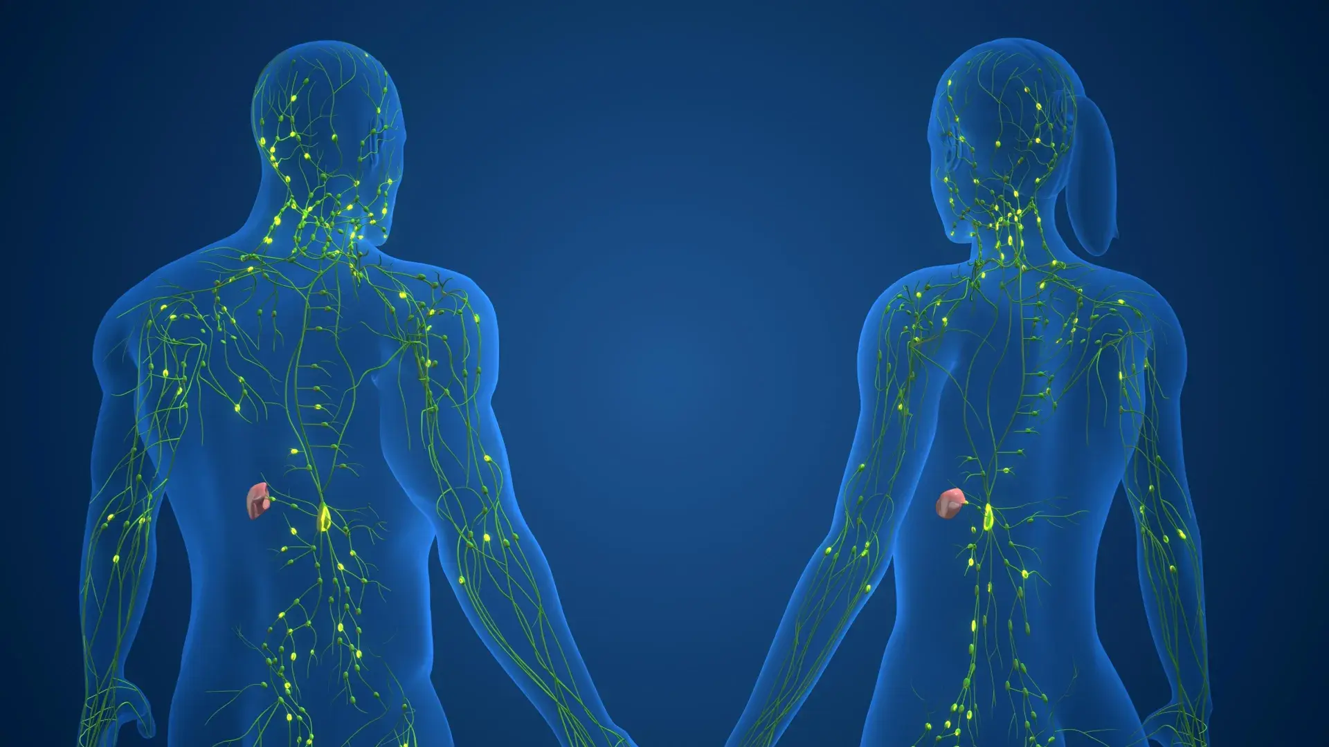 More than 1,000 genetic switches reveal why female immunity is different