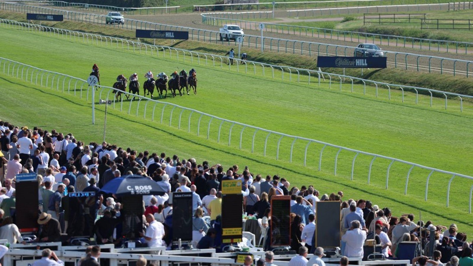 Lingfield and Worcester host competitive Wednesday cards