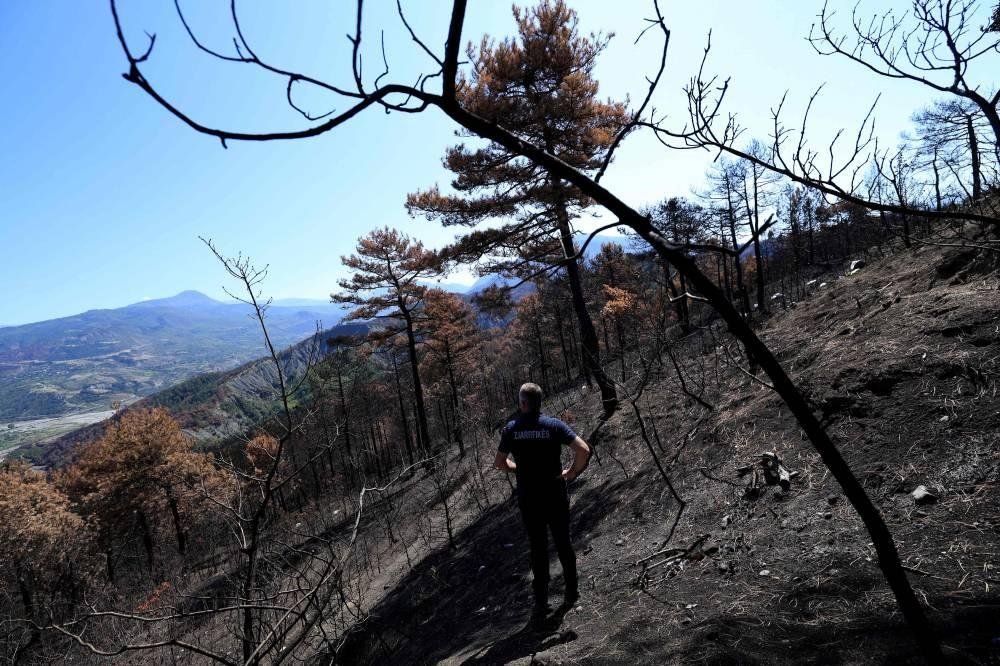 Questions loom over Albania's forests after devastating fires