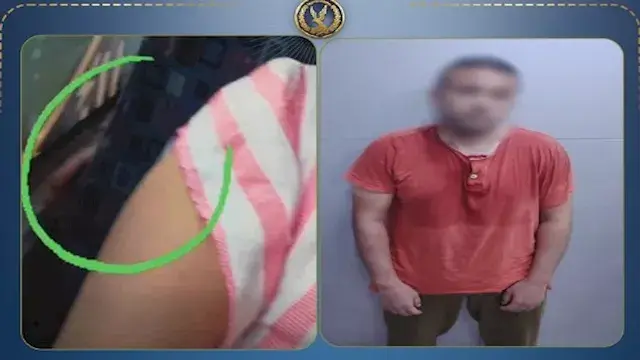 "جلس خلفها بالميني باص".. ضبط موظف تحرش بسيدة في الأميرية | فيديو