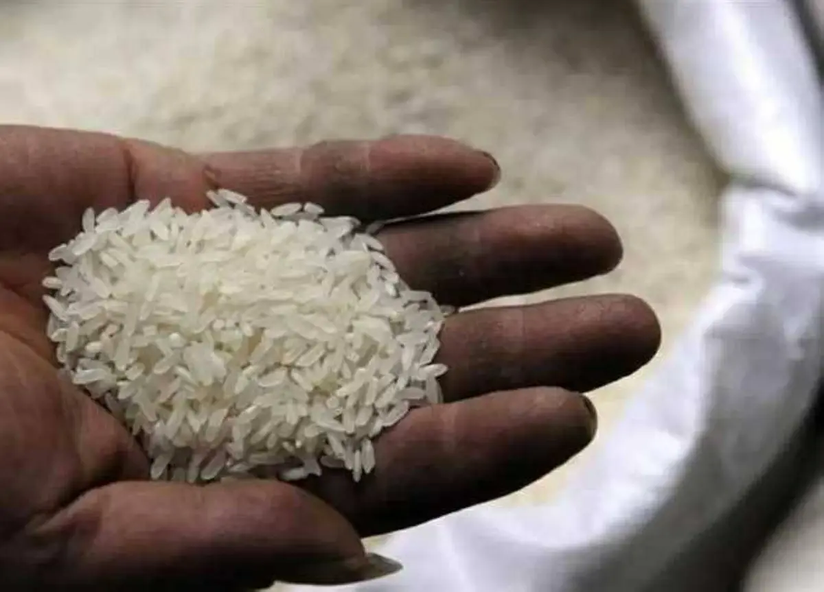 طن الشعير الآن.. سعر الأرز «رفيع وعريض الحبة» بأسواق الشرقية اليوم الثلاثاء 4-8-2026