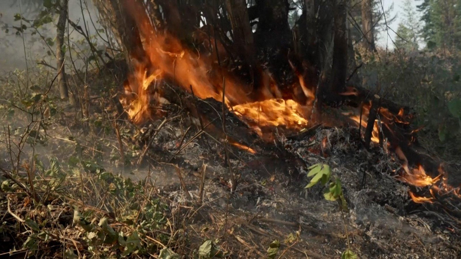 Video: Wildfires in Washington state force thousands to evacuate homes
