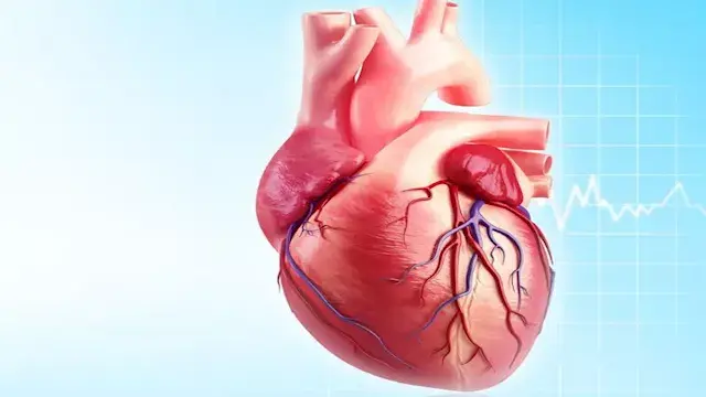 جمال شعبان يحذر من عادة خطيرة عند تناول الطعام.. تضر قلبك