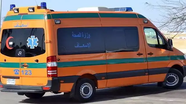 بينهم أطفال.. 9 مصابين في تصادم ميكروباص وملاكي بالوادي الجديد