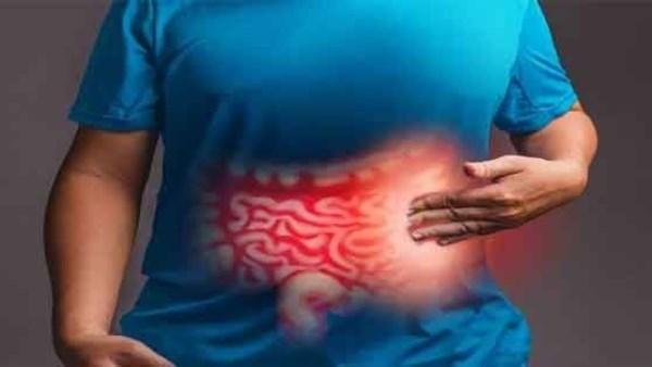 خبيرة تغذية تكشف مفاجأة.. كيف يؤثر الجهاز الهضمى على التوتر والحالة النفسية؟