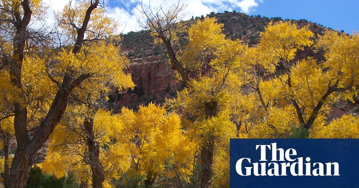Five family members found dead after flash flood in Utah canyon, police say