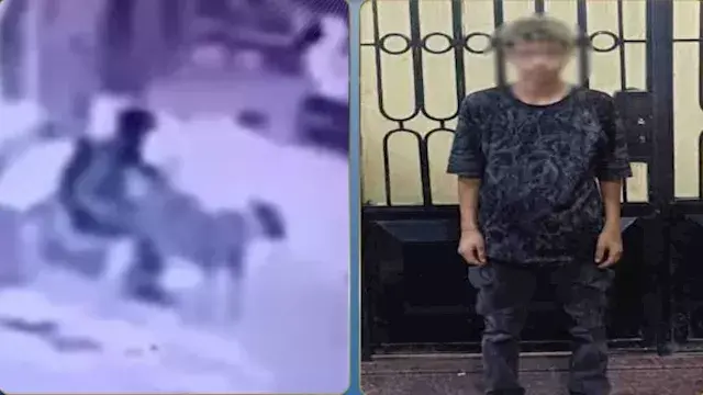 بعد فيديو أثار الغضب.. ضبط المتهم بالتعدي على كلب ضال بالمنوفية