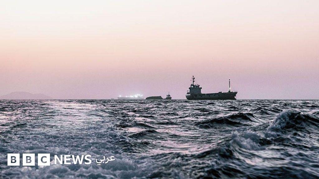 هل تتسبّب السفن العالقة في مضيق هرمز بـ"غزو بيولوجي" عالمي؟