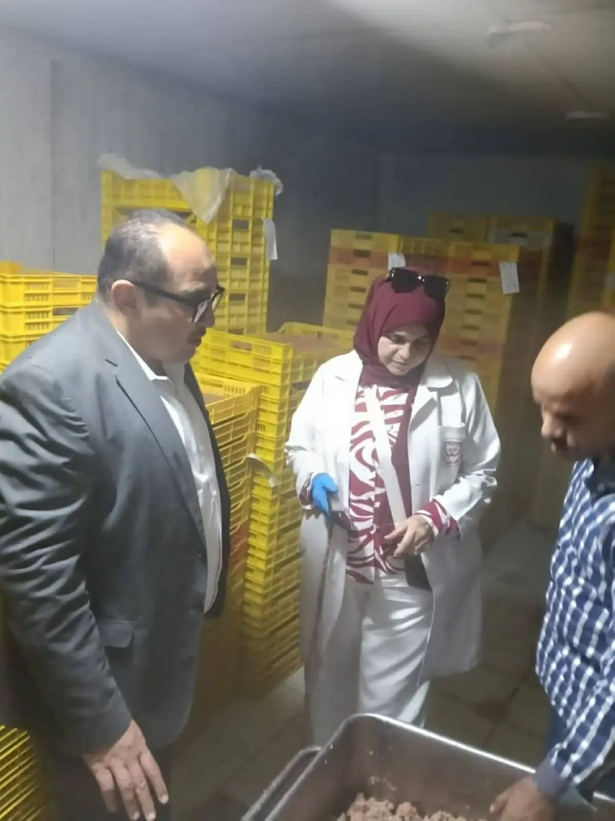 ضبط 1.8 طن مواد غذائية وخضروات مجمدة غير صالحة للاستهلاك الآدمى بالشرقية 