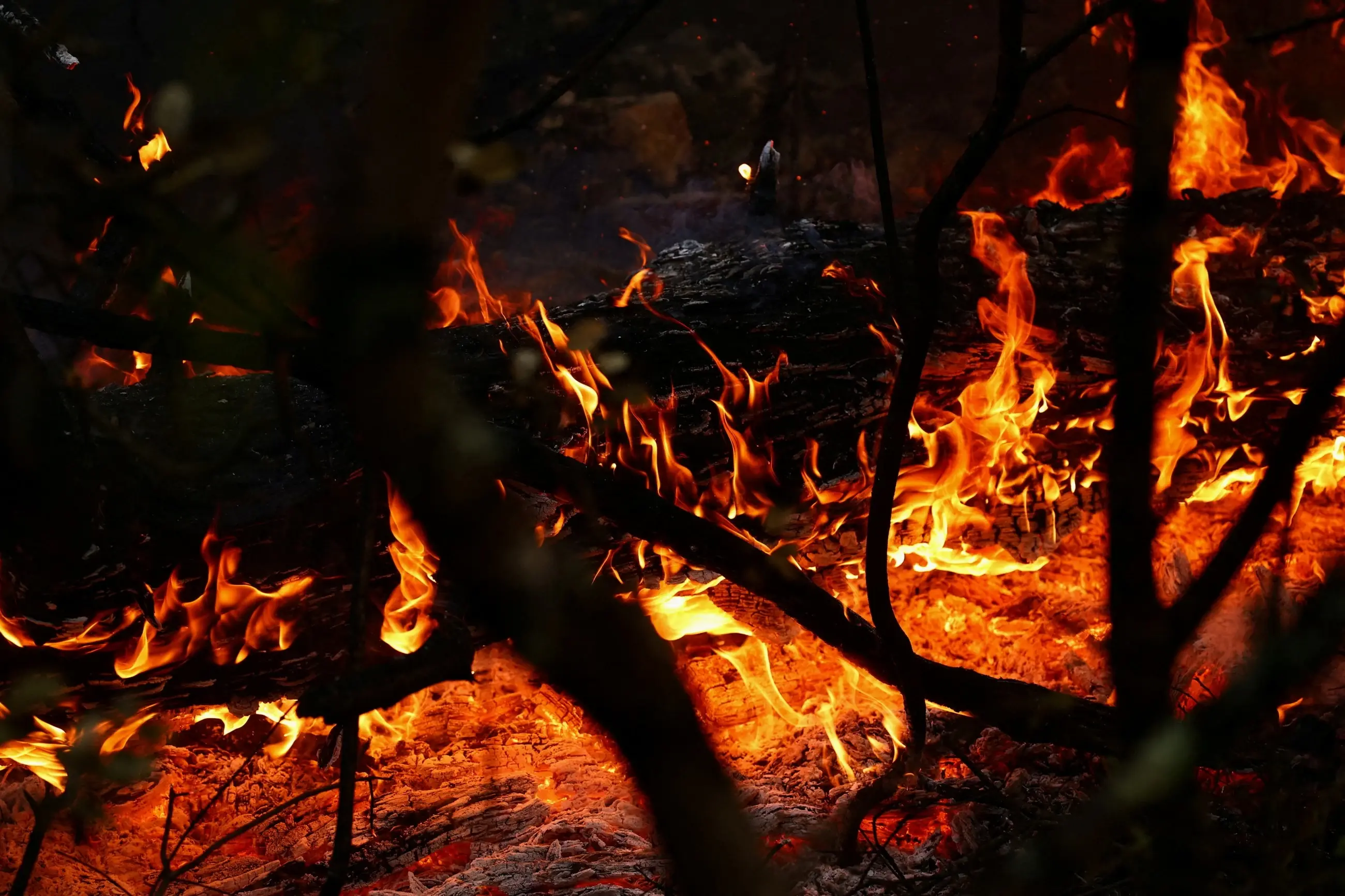 Hundreds flee as wildfire rips through southern France